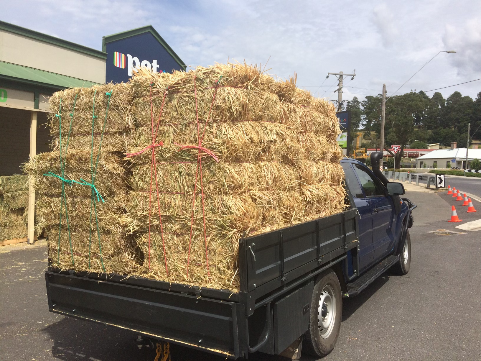 Growing Hay